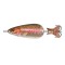 Apex LifeLike Spoon 1/2 Oz Rainbow Trout