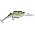 Rapala Jointed Shad Rap 1/4 Oz Shad